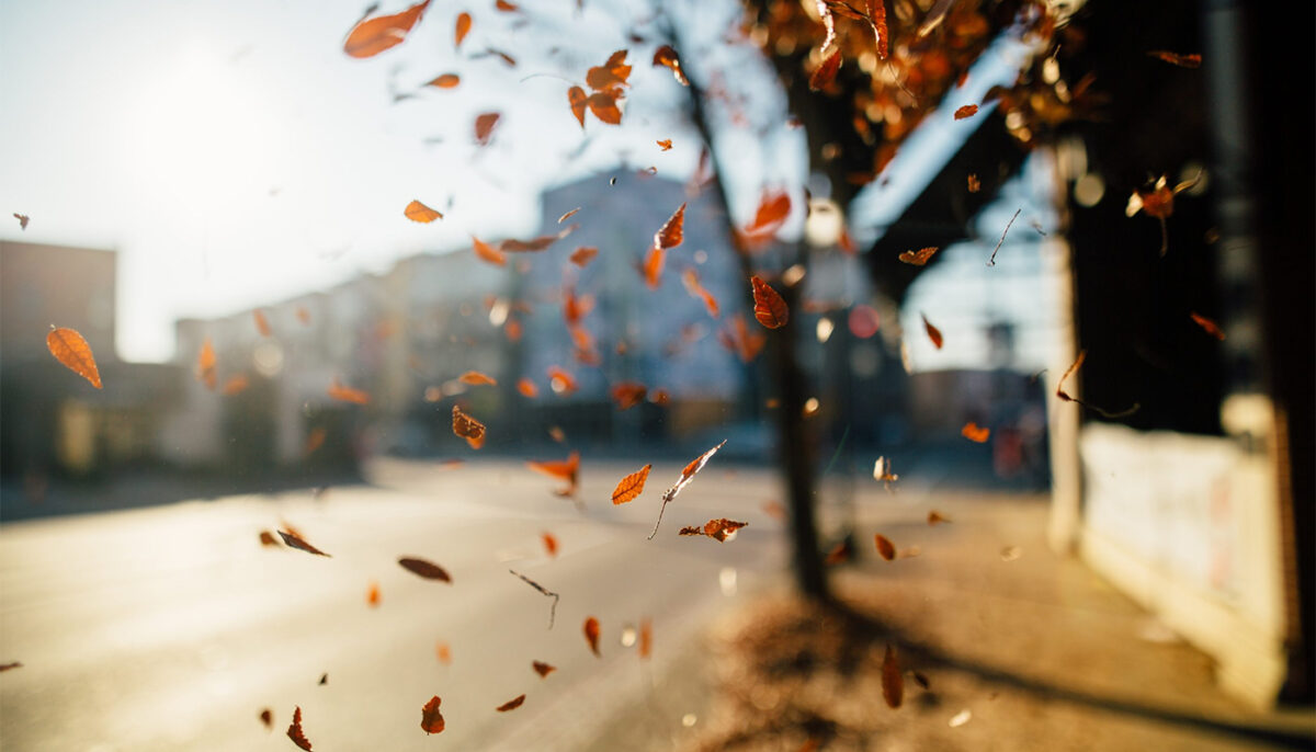 Meteorologii Accuweather anunță un octombrie cum nu prea a mai fost, în România. Temperaturi bizare în București