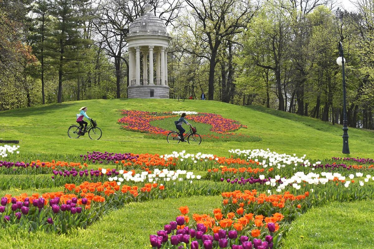 (P) În weekend, Craiova e în sărbătoare! Parcul Nicolae Romanescu împlinește 120 de ani