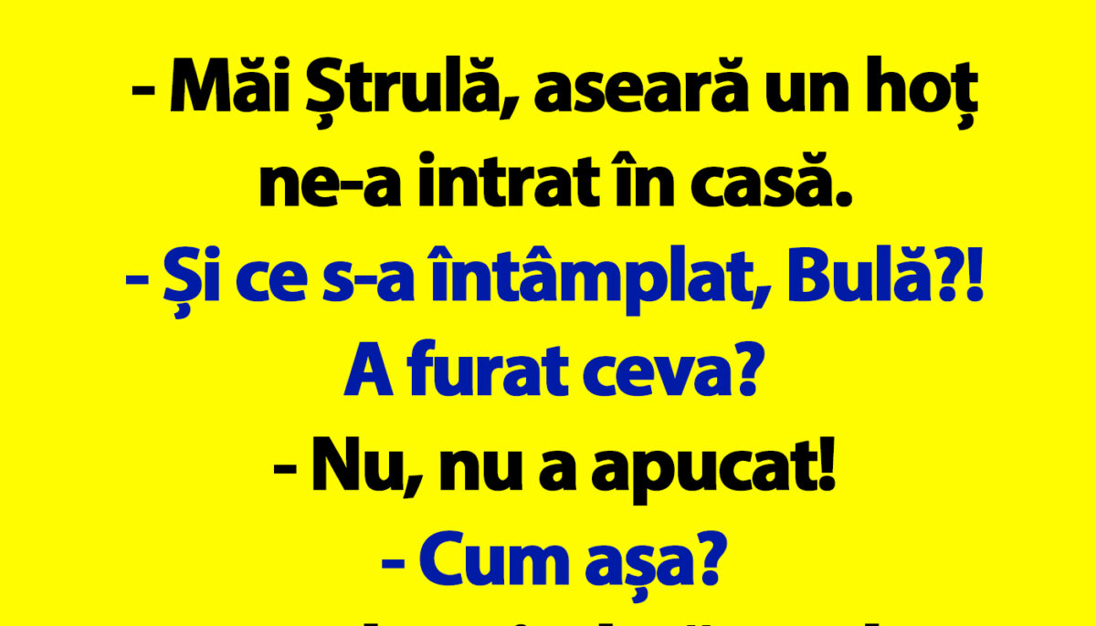 BANC | Bulă, Bubulina și hoțul ghinionist