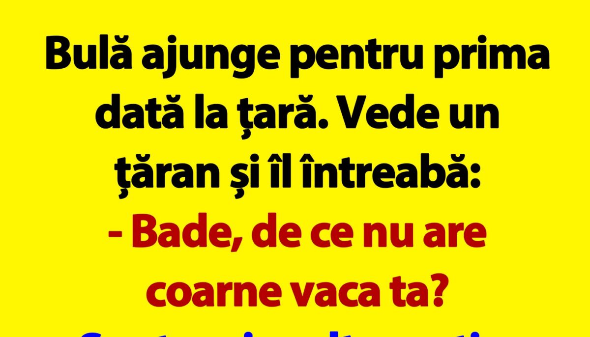 BANC | Bulă se duce la țară: „Bade, de ce nu are coarne vaca ta?”