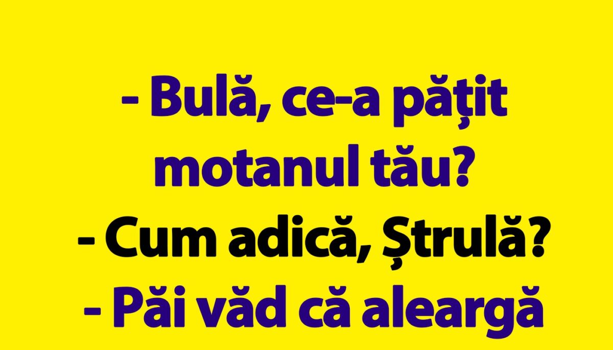 BANC | „Bulă, ce-a pățit motanul tău?”