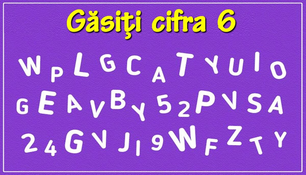 Test de perspicacitate | Poți găsi cifra 6 în această poză?