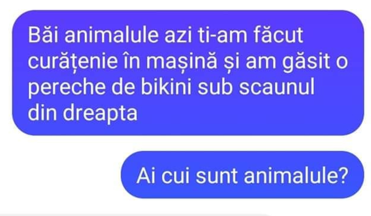 Bancul sfârşitului de săptămână | „Băi, animalule, azi ţi-am făcut curat în maşină”