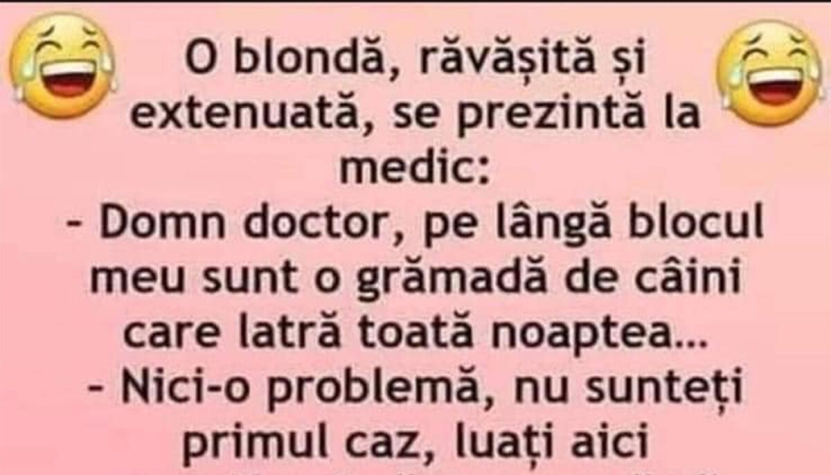 BANC | „Doctore, lângă blocul meu sunt mulți câini, care latră toată noaptea”