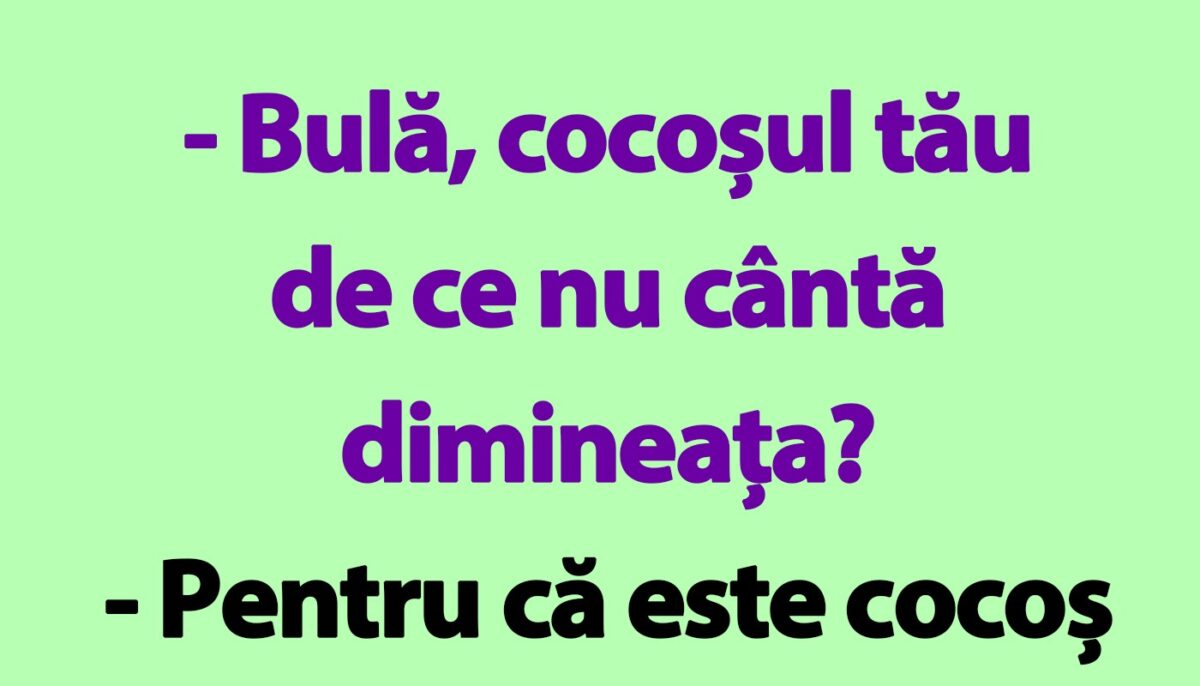 BANC | „Bulă, cocoșul tău de ce nu cântă dimineața?”