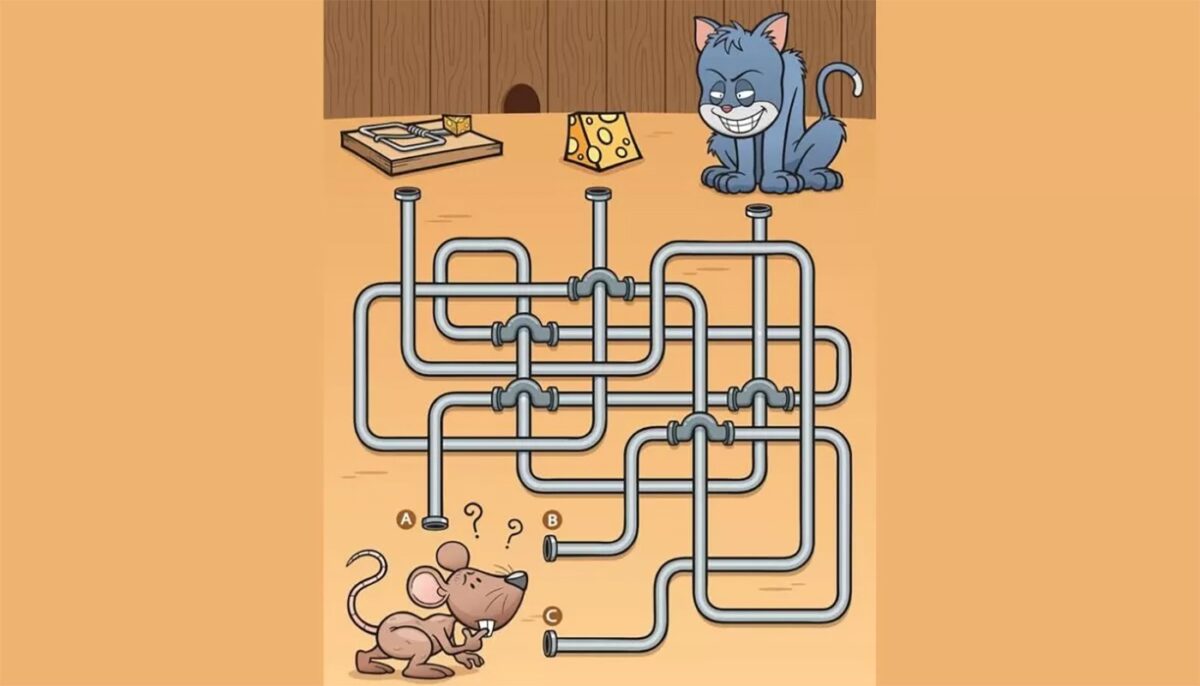 Test de inteligență | Rezolvați labirintul: A, B sau C? Ce drum trebuie să aleagă șoricelul pentru a ajunge la cașcaval?