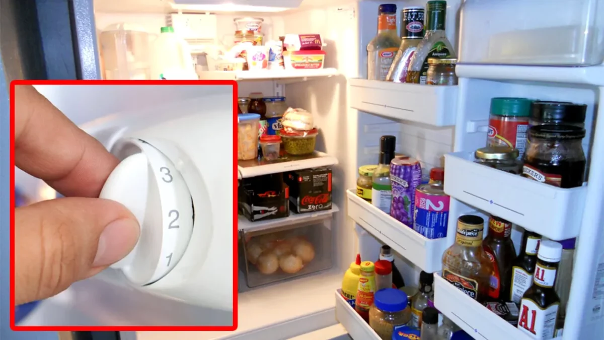 Cât de periculos este frigiderul din bucătăria ta. Studiul care dă peste cap tot ce știai VIDEO