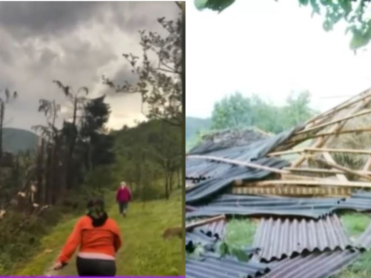 O furtună violentă a pus la pământ o pădure din Maramureș: ”Imagini de groază!” VIDEO