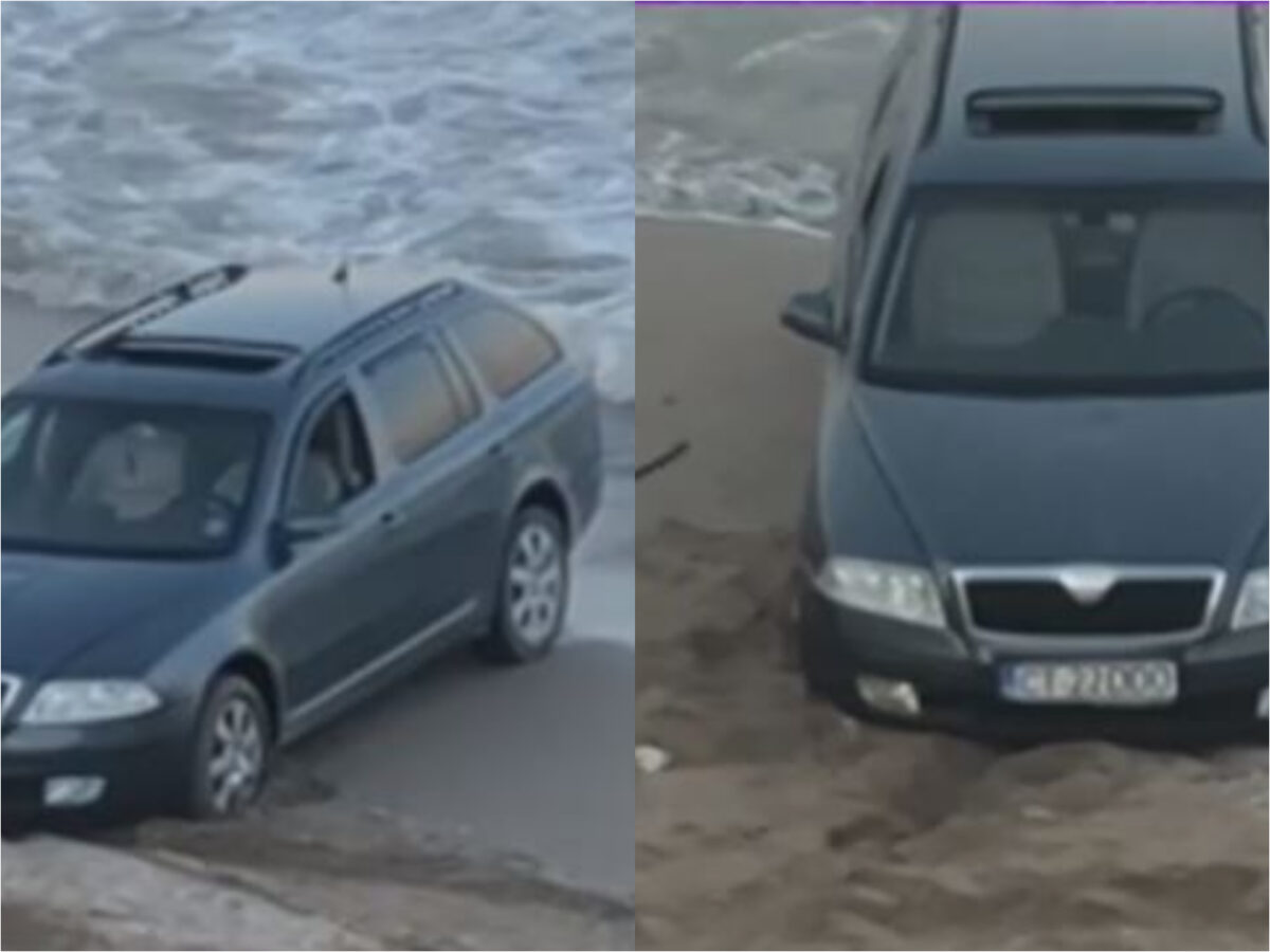 Ce a apărut pe plaja din localitatea 23 August. Polițiștii au intervenit imediat