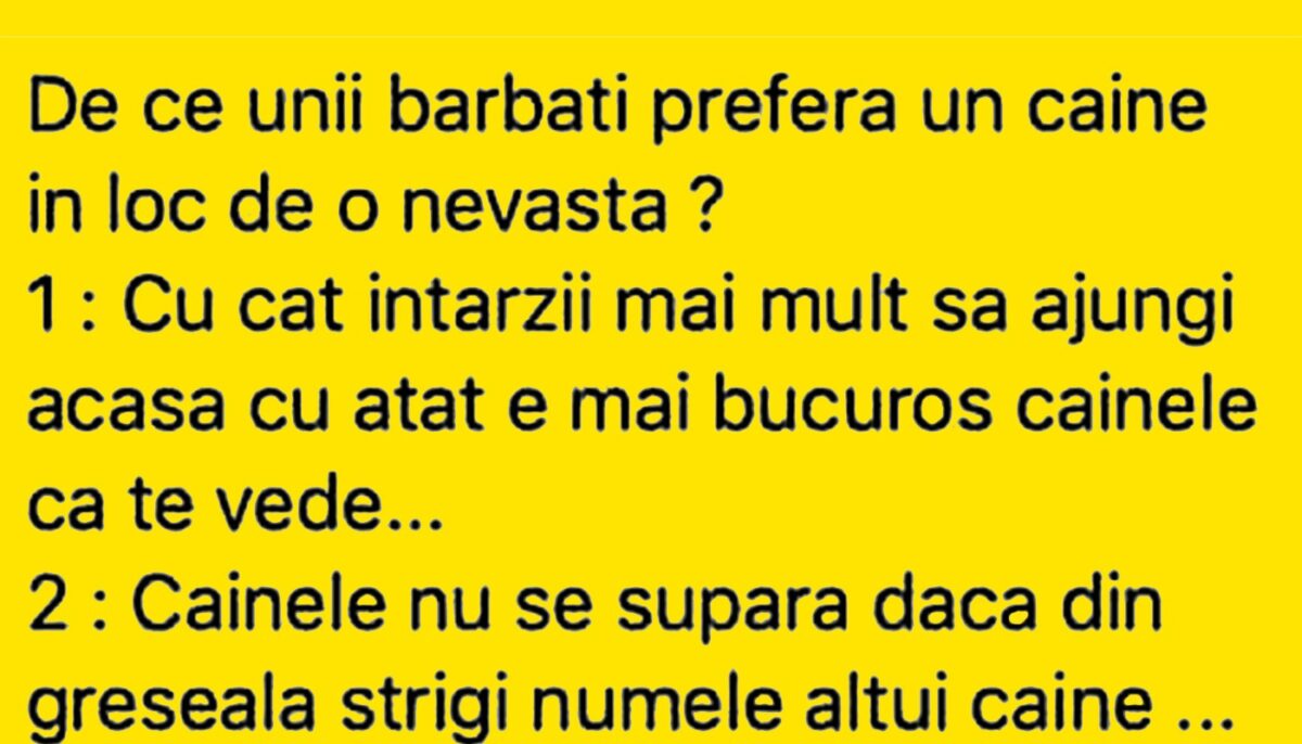 BANC | De ce unii bărbați preferă un câine în loc de nevastă