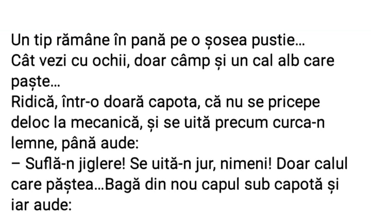 Bancul sfârșitului de săptămână | Tipul rămas în pană și calul vorbitor