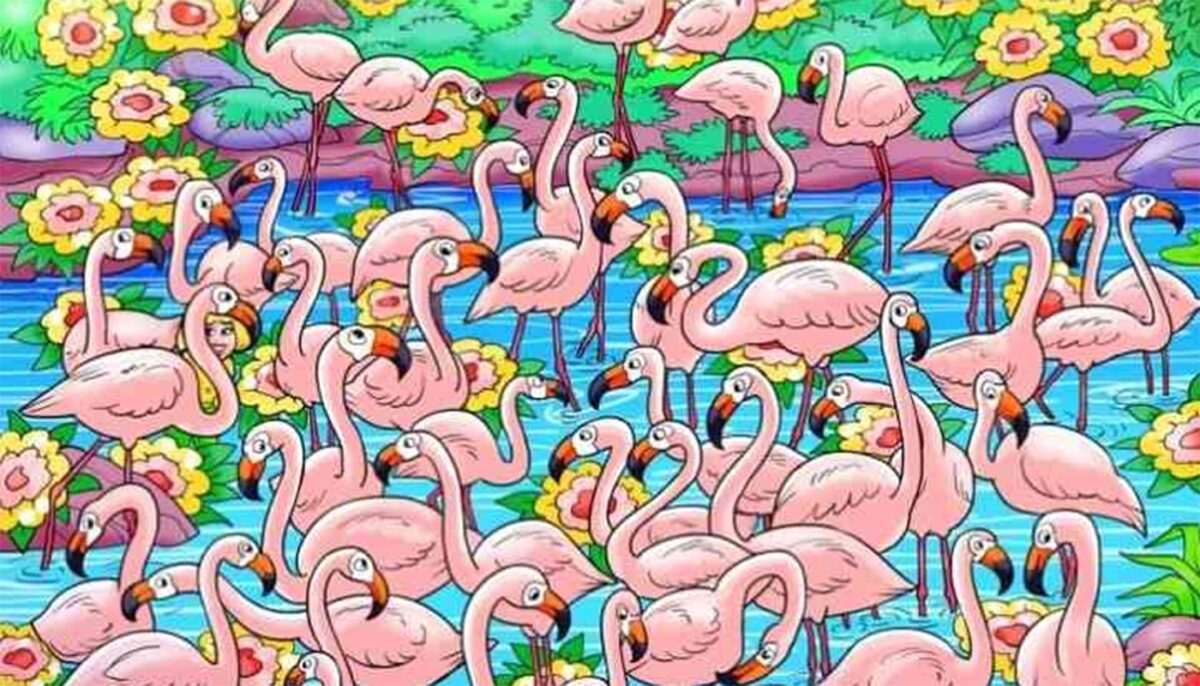 Iluzie optică virală | Găsiți fetița ascunsă printre acești flamingo, în maximum 5 secunde