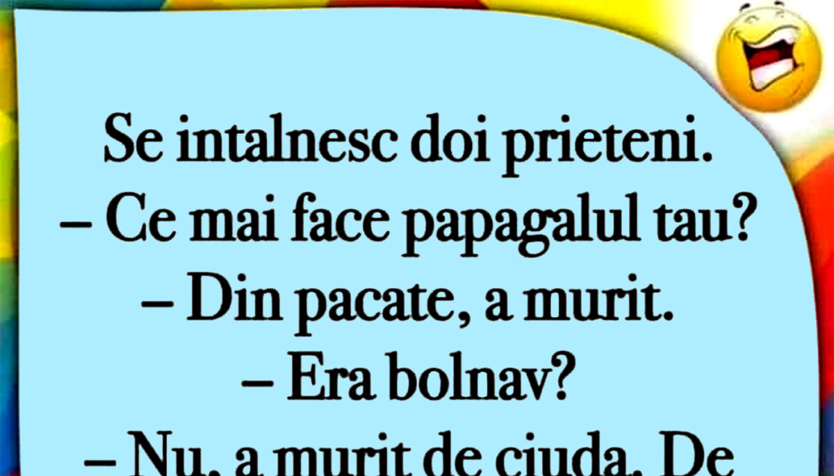 BANC | „Ce mai face papagalul tău?”