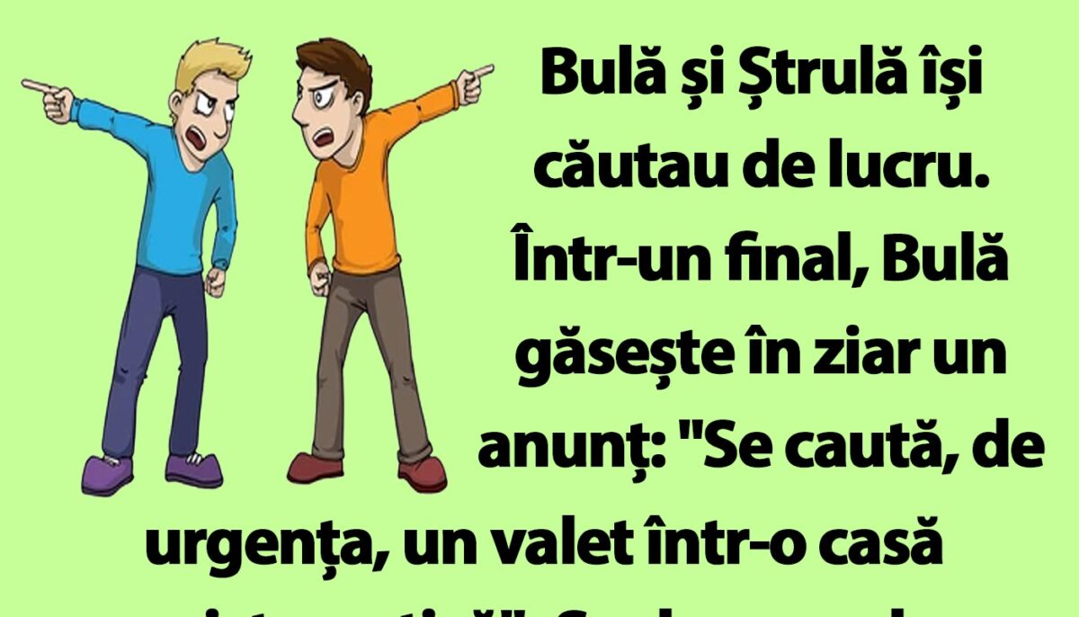 BANC | Bulă și Ștrulă își căutau de lucru