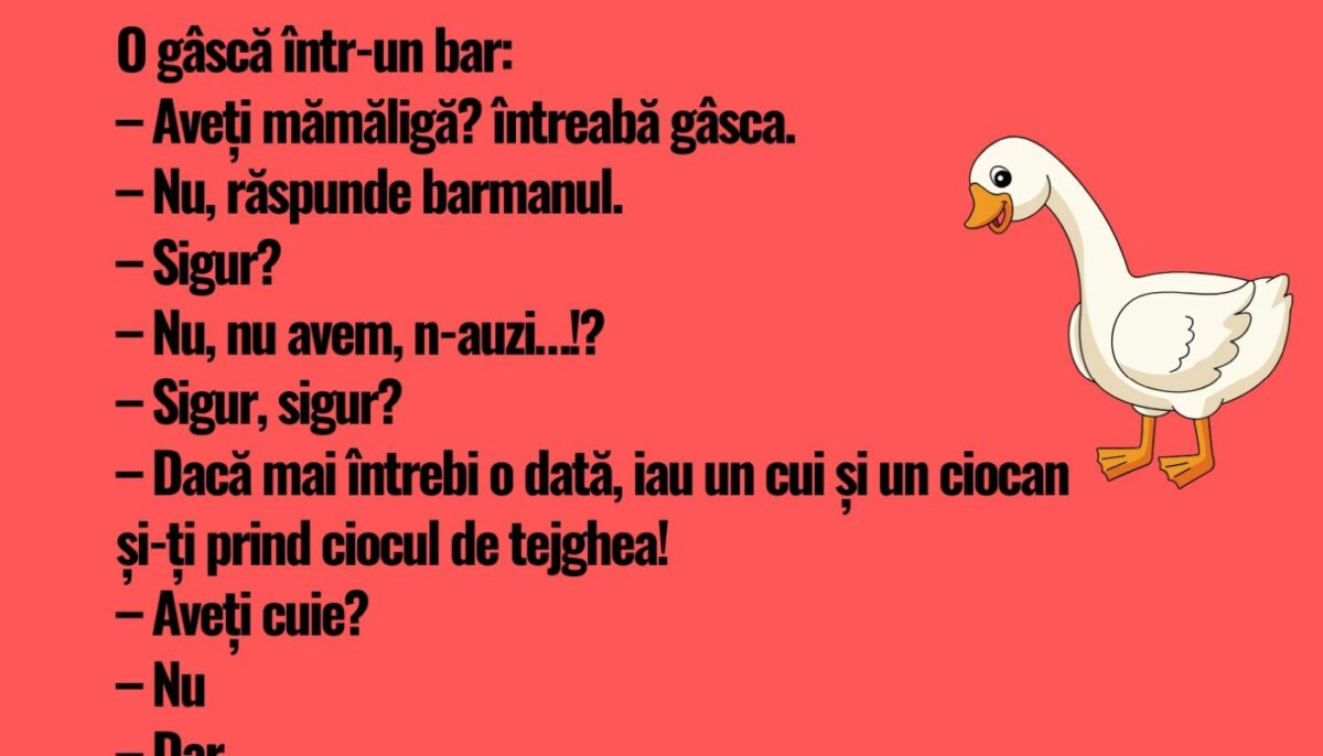 Bancul începutului de săptămână | O gâscă într-un bar: „Aveți mămăligă”