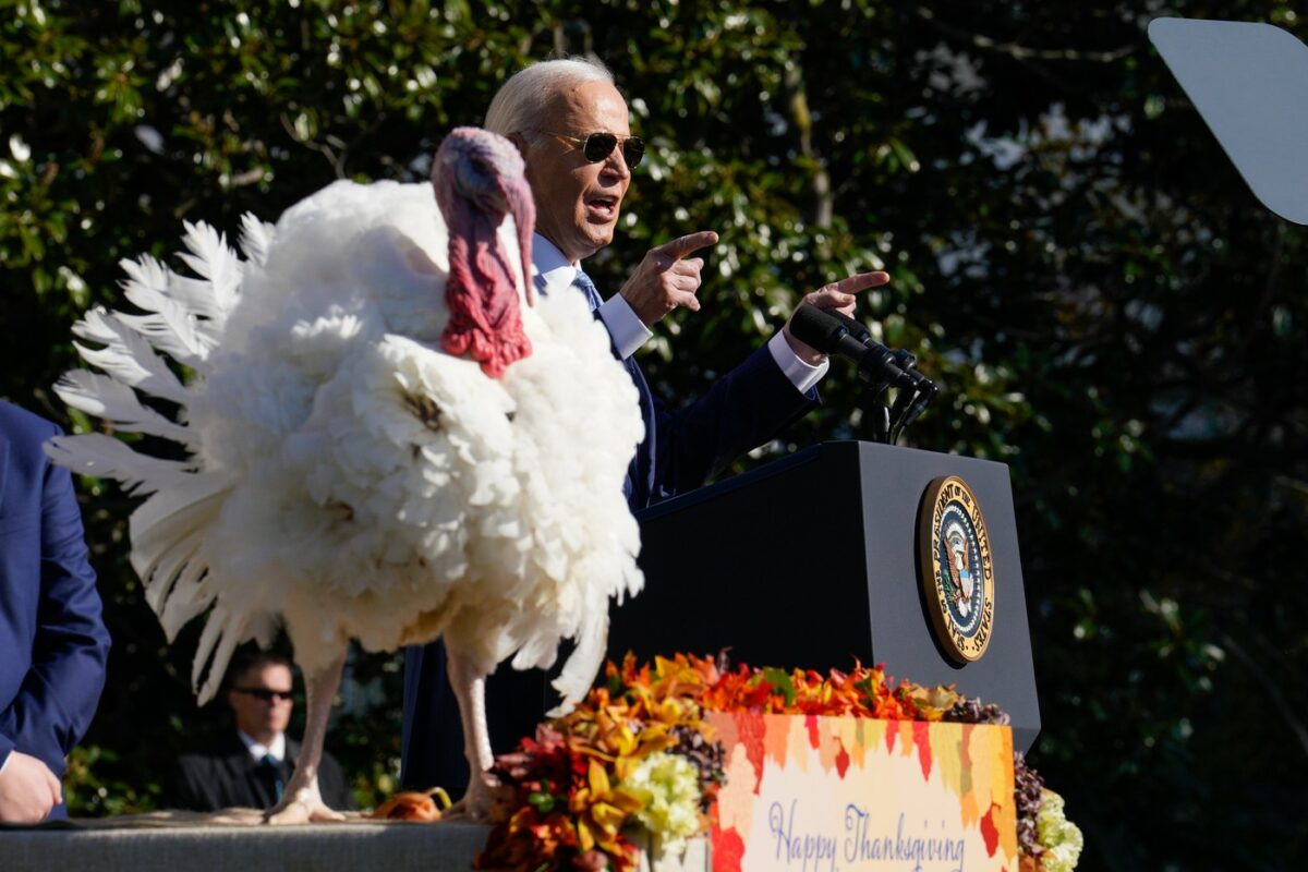 Joe Biden i-a grațiat pe curcanii Peach și Blossom, de Ziua Recunoștinței. Cum s-a desfășurat tradiția anuală