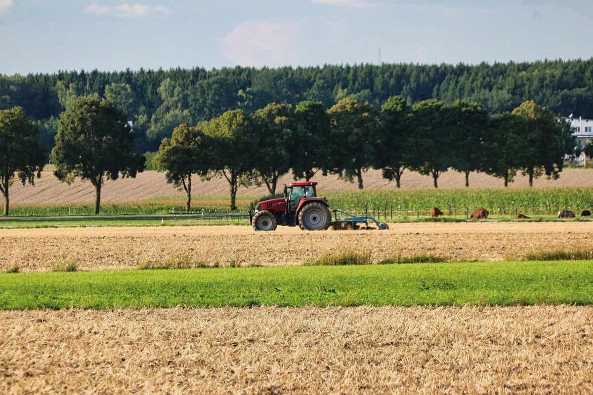 Ce prețuri au terenurile arabile în Europa. Pe ce loc se află România