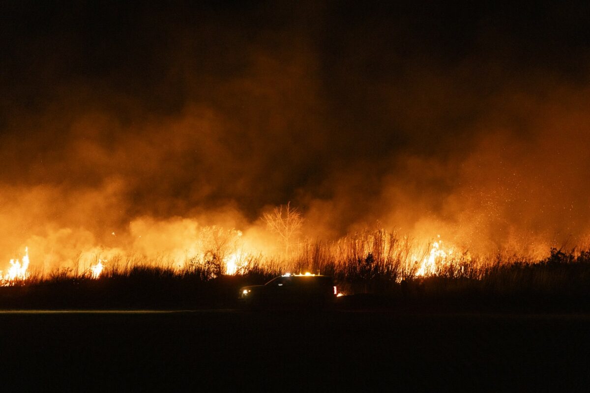 Bilanțul morților în urma incendiilor din Los Angeles. Ce se întâmplă acum cu nominalizările la Oscar