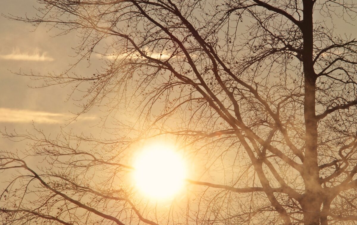 Vremea o ia razna în România! Zonele în care vine căldura: temperaturi de primăvară